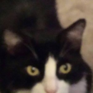 Meet your Posher, Jane